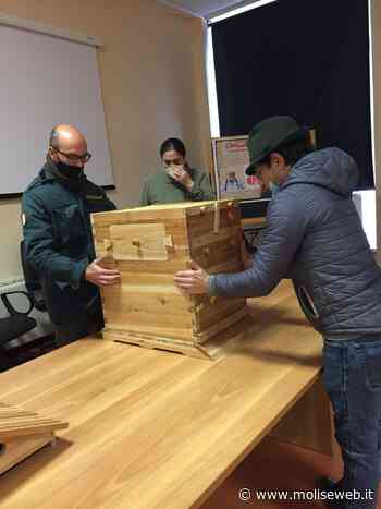 TERMOLI: L' 'ANPANA DONA UN'ARNIA DIDATTICA ALL'ISTITUTO AGRARIO DI LARINO - Molise Web