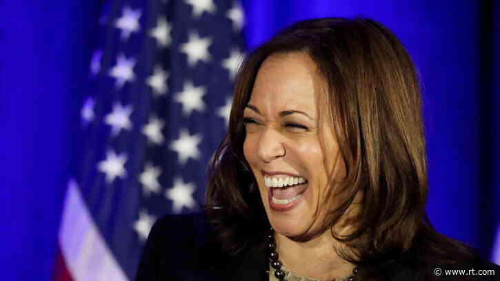Will the real president please stand up? Harris bristles at suggestion Biden isn’t it