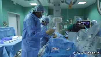 Tar ripristina Emodinamica al San Timoteo Termoli h-24 - Agenzia ANSA