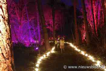 Lichtwandelingen fleuren donkere periode op