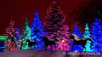 10 Calgary Christmas events to get you in the holiday mood - CTV News Calgary