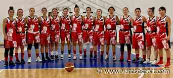 Il Basket Femminile Gallarate espugna Vertemate e si regala un Natale al vertice - VareseSport