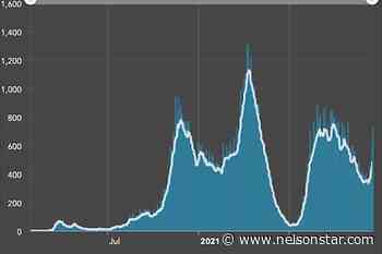 BC reports 789 COVID-19 cases Friday as Omicron spreads – Nelson Star - Nelson Star
