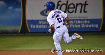 Cubs Prospect Perspective: Nelson Maldonado - Bleed Cubbie Blue
