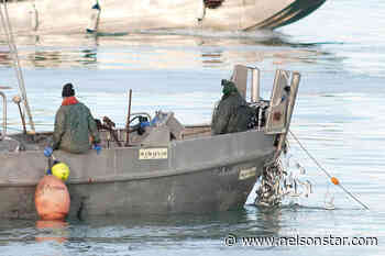 Federal government announces closure of most Pacific herring fisheries - Nelson Star