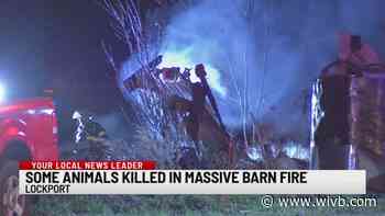 Some animals killed in Lockport barn fire
