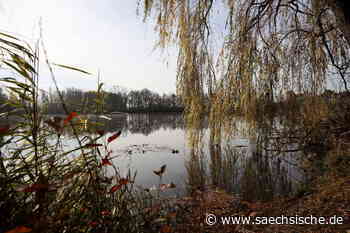 Riesa: Wie kamen Schadstoffe in den Hahnefelder Speicher? - Sächsische.de