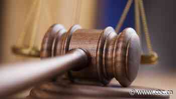 Canadian extradited to U.S. on charges he funded terrorists pleads guilty