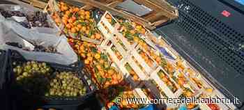 Crotone: sequestrati 600 kg di prodotti ortofrutticoli: saranno devoluti in beneficenza - Corriere della Calabria