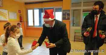 Vercelli: agrifogli per i bambini delle elementari - La Sesia | Cronaca