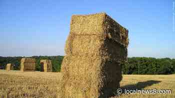 Gov. Gordon signs second executive order to facilitate hay transport - Local News 8 - LocalNews8.com