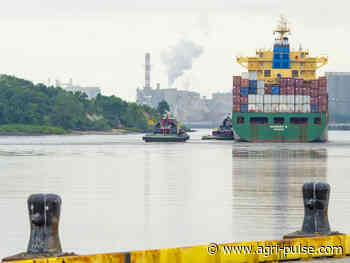 Biden admin presses ocean shippers to transport US ag exports - Agri-Pulse