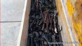 Teschi sotto la Basilica di San Marco, il caso in Parlamento: «Trattati come laterizi» - La Nuova Venezia