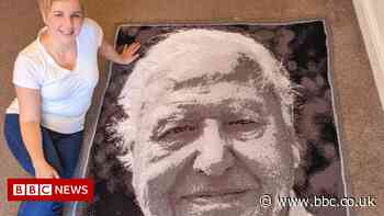 David Attenborough image crocheted by Harlow woman into a blanket