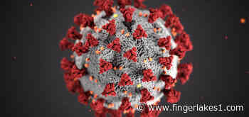 Cayuga County has most active COVID cases since January - FingerLakes1.com