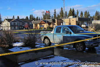 VIDEO: Suspect arrested in Vanderhoof after active shooter sparks city-wide lockdown – Agassiz Harrison Observer - Agassiz-Harrison Observer