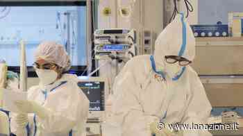 Prato, professoressa no vax in terapia intensiva - LA NAZIONE