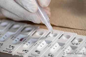 Covid: Monza in quarantena, stop a partita con il Benevento - Agenzia ANSA