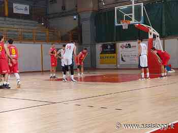 Virtus Assisi basket batte Wispone Taurus Jesi 78-60 - Assisi Oggi