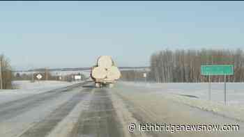 Hay West 2021 Initiative receives federal funding - Lethbridge News Now