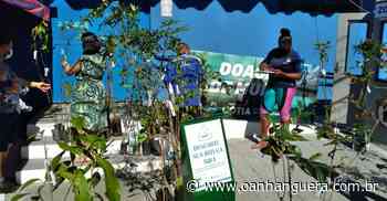 Cotia: Domingo (19) tem edição especial de Natal do Pedágio Ambiental com doação de mudas - Jornal O Anhanguera