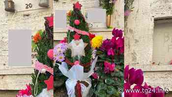 ULTIM'ORA Sora – Rubato alberello dal cimitero, il figlio lo aveva portato alla madre defunta - TG24.info