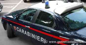 Mani e piedi legati, uomo ucciso a Roma - Gazzetta di Parma