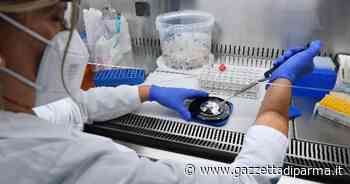 Parma, i contagi non scendono sotto i 200. E in Emilia Romagna di nuovo 15 decessi - Gazzetta di Parma
