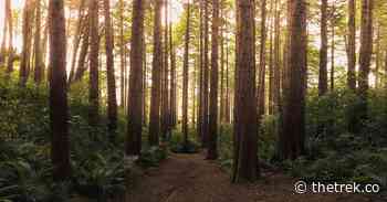 Why I'm Attempting an Appalachian Trail Thru-Hike...Again - The Trek