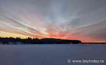 Breaking a trail in search of the place a great Leaf fell (10 photos) - BayToday.ca