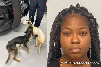 Arrest made in case where dogs were abandoned, one euthanized - Fall River Reporter