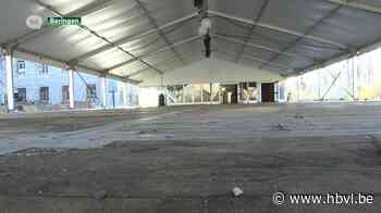 Beringen laat be-MINE on ICE gewoon doorgaan - Het Belang van Limburg