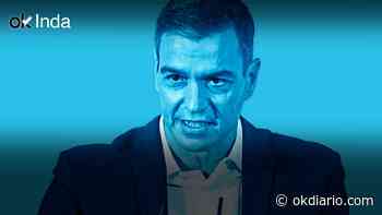 La herencia de Playbol Sánchez y el silencio de los corderos - Okdiario