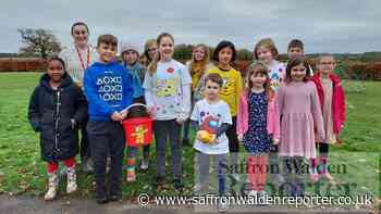 Debden Primary Academy fundraiser for BBC Children In Need - saffronwaldenreporter.co.uk