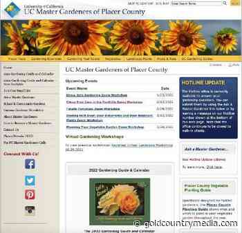 Placer Master Gardener: Winter garden to-do's include weeds, daffodils - Gold Country Media