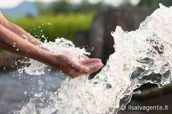 Pesticidi, allarme dell'Ispra: "Inquinate il 25% delle acque e il 5% delle falde" | il - Il Salvagente
