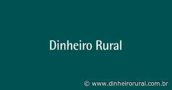 Paço Imperial abre exposições de residentes da Casa da Escada Colorida - Dinheiro Rural