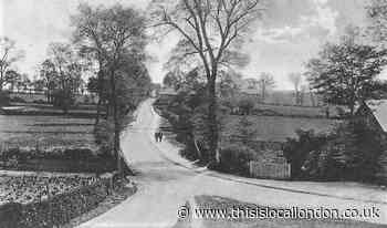 Compare pictures of Essex countryside with suburban scene today