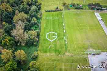 Wat betekenen KRC Genk-'graancirkels' op terreinen van Beringen, Peer en Wellen? - Het Belang van Limburg