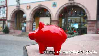 Haushaltsreden in Calw - Hoher Schuldenstand, viel Lob - Schwarzwälder Bote