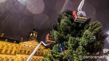 De boom der bomen: takkenwerk op de Dam - Panorama