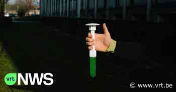 Laat je tuin zoveel mogelijk met rust en plant een boom: "CurieuzeNeuzen" geeft je tips om het klimaat te helpen - VRT NWS