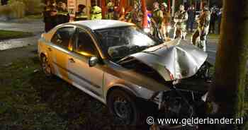 Auto schiet rechtdoor over rotonde en komt tegen boom tot stilstand in Arnhem, bestuurder gewond - De Gelderlander