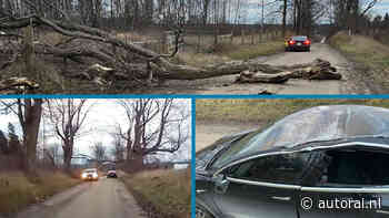 Bizarre dashcam: gigantische boom valt op Tesla Model 3 (VIDEO) - AutoRAI.nl