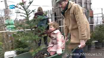 Duizenden Amsterdammers vieren kerst bij geadopteerde boom: 'Volgend jaar dezelfde' - NH Nieuws