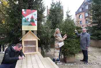 De boom in met uw kerstwensen, letterlijk: stad wil “zo veel mogelijk ingaan op ideeën van bewoners” - Het Nieuwsblad