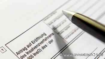 Wie hat sich die Zahl der Unternehmens-Insolvenzen entwickelt?