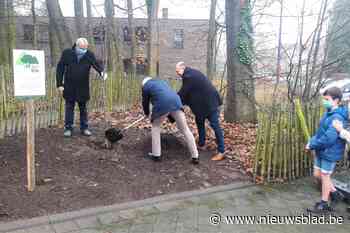 Parochianen planten ‘Laudato Si boom’ in Kontich-Kazerne