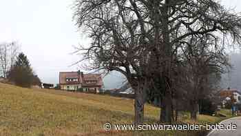 Wohnen in Ebhausen: Mehr Zeit für die Planung des  Baugebiets