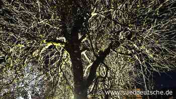 Lichtverschmutzung am Starnberger See - Starnberg - SZ.de - Süddeutsche Zeitung